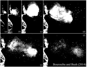 The sneeze cloud. (Courtesy John Bush and Lydia Bourouiba)