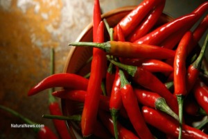 Red-Chili-Peppers-Produce-Hot