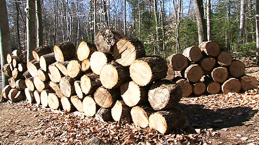 Here's a way to get a lot of firewood on the cheap!