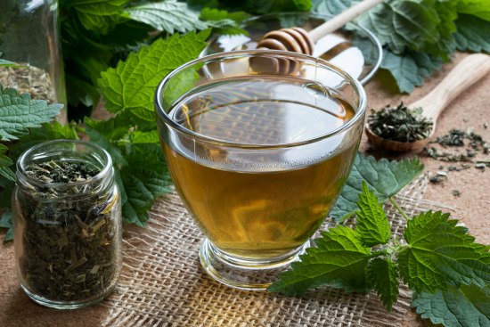 Nettles have a plethora of medicinal uses. Learn all about the healthy benefits of nettles here.