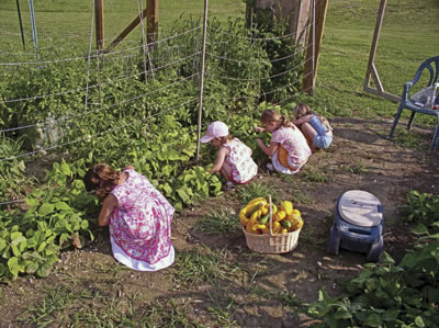 9 Things to Consider Before You Ever Grow a Survival Garden