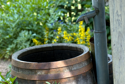 Using Water Harvesting As An Emergency Water Source
