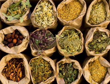 30 Most Popular Herbs for Natural Medicine