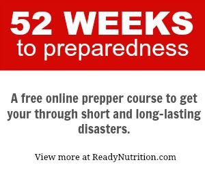 Week 28 of 52: Pandemic Preparedness