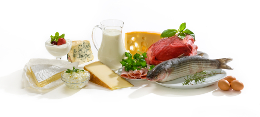 The Top 5 Protein Sources for Your SHTF Diet