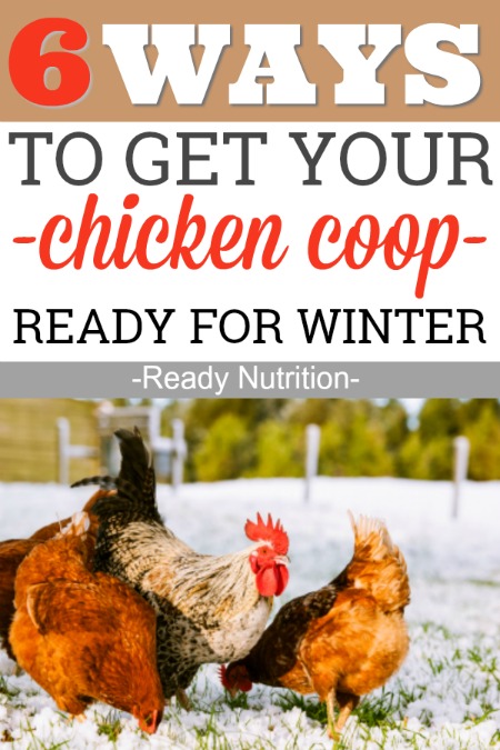 Chicken coops need a little T.L.C. during the winter months. Here are 6 ways to winterize your coop and keep your chickens warm and cozy.