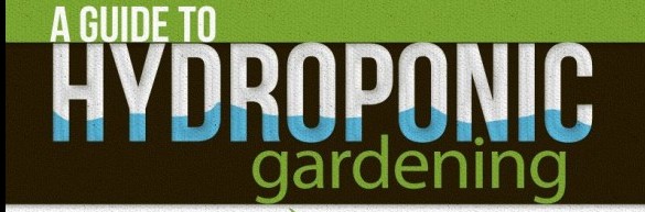 The Benefits of Hydroponic Gardening: An Infograph