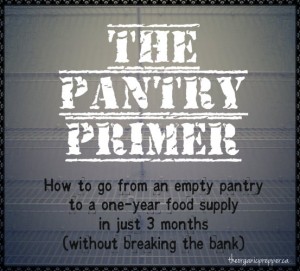 What You Need to Do Now: The Pantry Primer