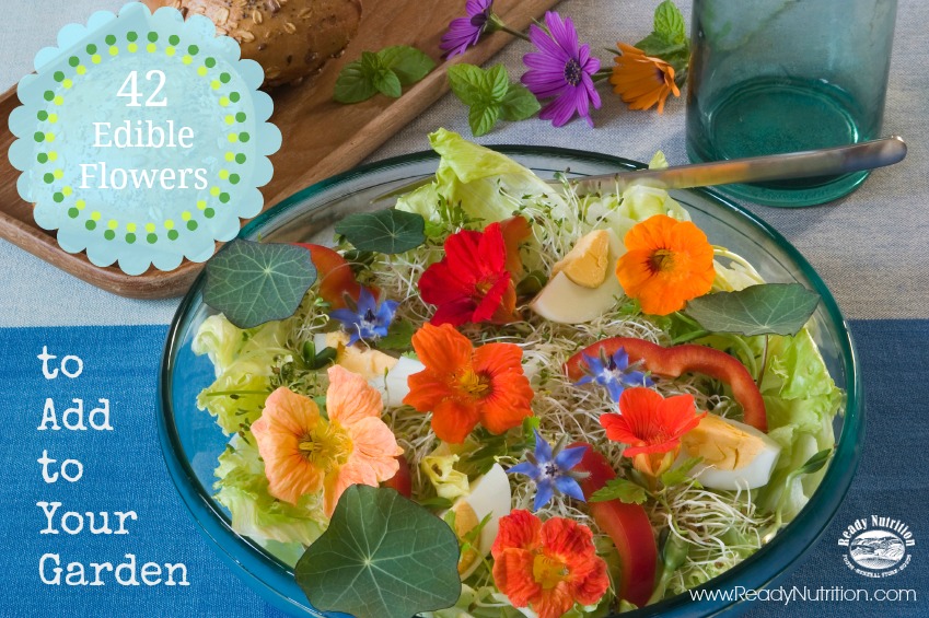 Edible Flowers: 42 Varieties to Add to Your Garden