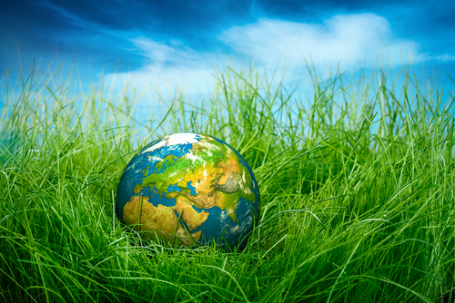 7 Ways to Be More Earth-Friendly on Earth Day