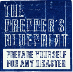 The Prepper’s Blueprint: The Step-By-Step Guide To Help You Through Any Disaster