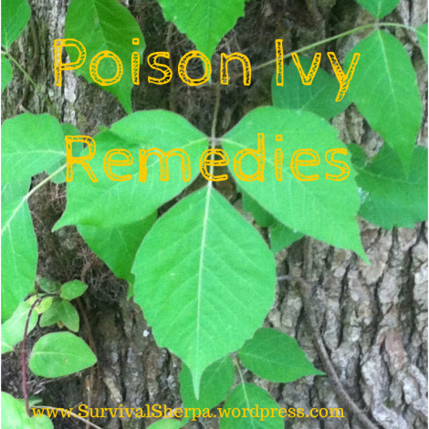 Pondering Poison Ivy Remedies and Itch Relief