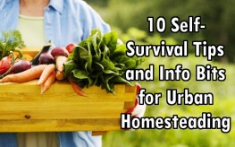10 Self-Survival Tips and Info Bits for Urban Homesteading