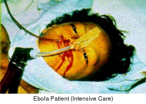 Minnesotan Patrick Sawyer Was One Flight Away From Becoming Patient Zero In A U.S. Ebola Outbreak