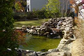 5 Reasons To Add Ponds To Your Homestead