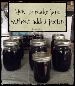How to Make Jam without Using Added Pectin