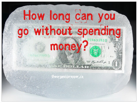 The Austerity Diaries: How Long Can You Go Without Spending Money?