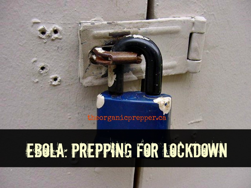 Prepping for an Ebola Lockdown: No one goes out, no one comes in