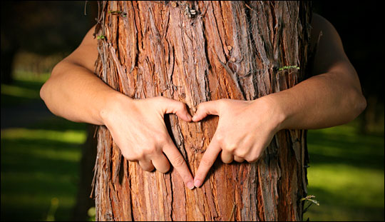 Why Being a “Tree Hugger” Builds Self-Reliance