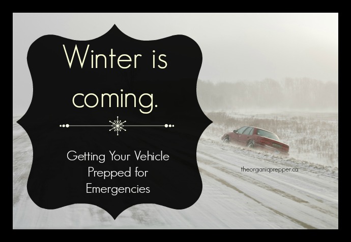 Winter is Coming: Getting Your Vehicle Prepped for Emergencies