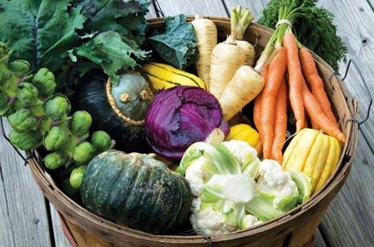 10 Great Vegetables for Fall Gardening