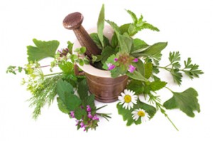 medicinal-herbs-how-to