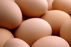 free_range_eggs