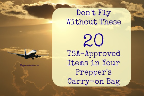 Don't Fly Without These 20 TSA-Approved Items in Your Prepper's