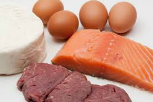 Best Protein Sources When Society Ends As We Know It