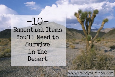 10 Essential Items You’ll Need to Survive in the Desert