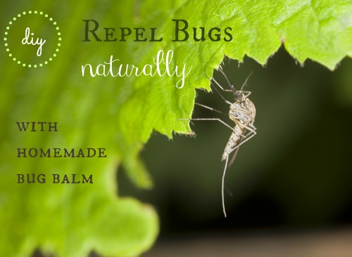 DIY: Repel Bugs Naturally with this Homemade Bug Balm
