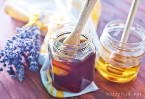New “Honey on Tap” Invention Will Change the Beekeeping Industry
