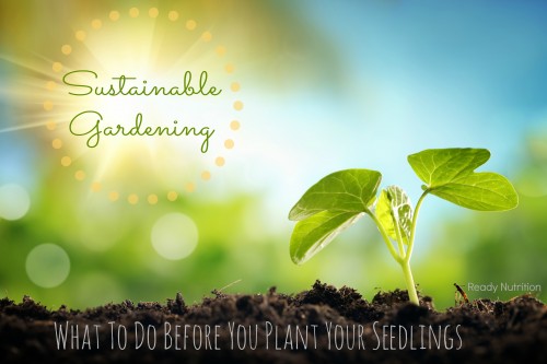 Sustainable Gardening: What To Do Before You Plant Your Seedlings