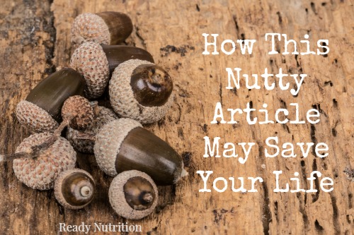 How This Nutty Article May Save Your Life