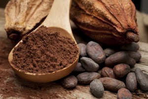 Cocoa: The 11th C of Survivability