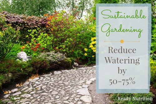 Sustainable Gardening: Reduce Watering by 50-75%