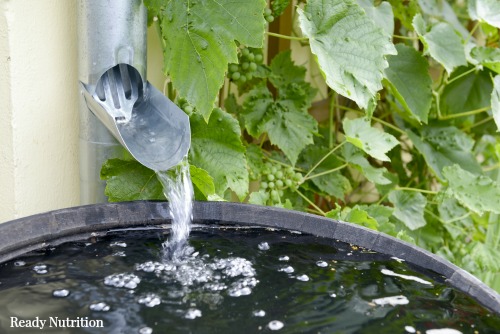 Water Procurement: Setting Up a Low-Budget Water Catchment System and Why It Will Save Your Life