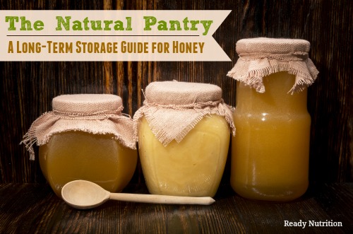 The Natural Pantry: A Long-Term Storage Guide for Honey