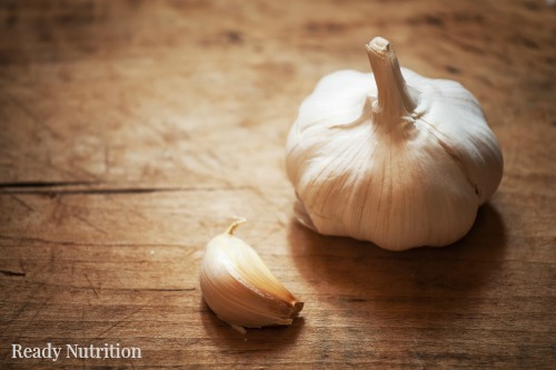 Garlic: A Natural Medicine for the Prepper’s Medicine Chest