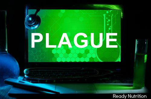 CDC Puts Doctors on Alert for Bubonic Plague in U.S.