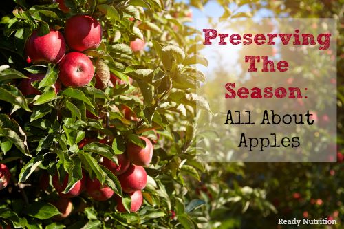 Preserving the Season: All About Apples | Ready Nutrition