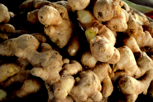 ginger root public domain