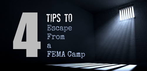 4 Tips to Escape From a FEMA Camp