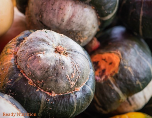 The Autumn Harvest: How To Store and Cook With Winter Squash (plus recipes)