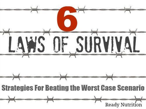 The Six Laws of Survival: Strategies For Beating the Worst Case Scenario