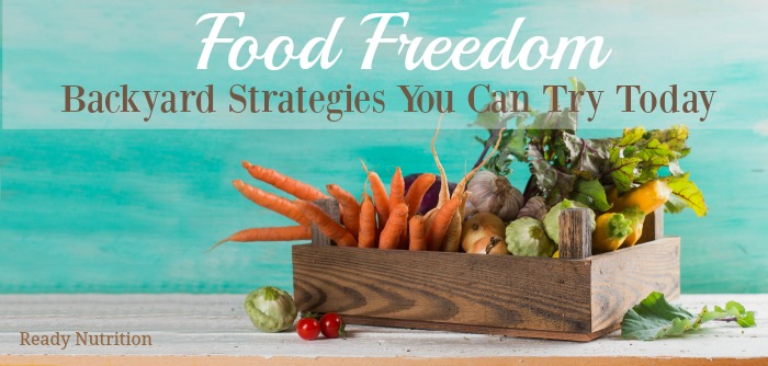 Food Freedom: Backyard Strategies You Can Try Today