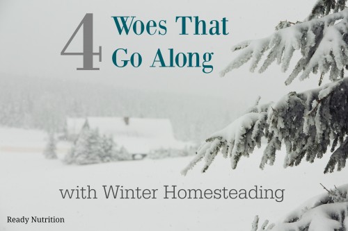 Four Woes That Go Along With Winter Homesteading