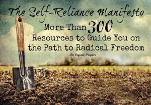 The Self-Reliance Manifesto: More Than 300 Resources to Guide You on the Path to Radical Freedom