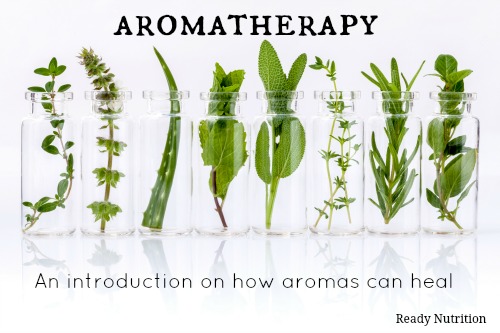 Aromatherapy: An Introduction on How Aromas Can Heal