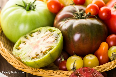 Grow the Heartiest Tomatoes with These Organic Tips